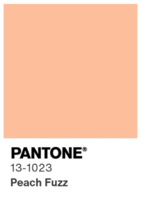 Pantone 13-1023 Peach Fuzz swatch